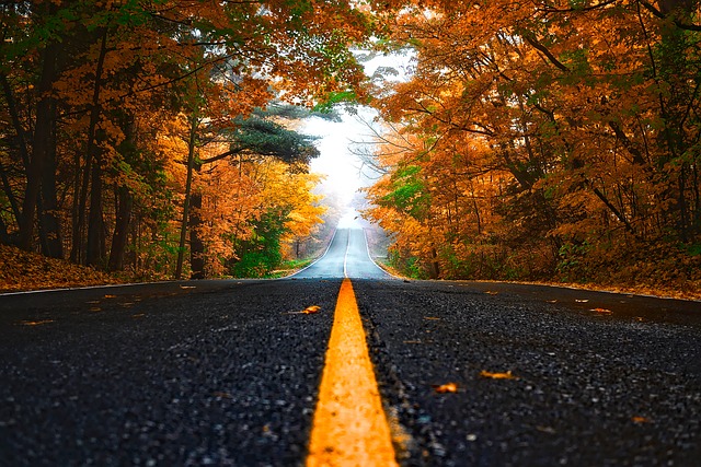 Precauciones en la carretera en otoño