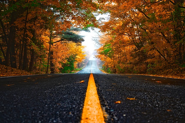 Precauciones en la carretera en otoño